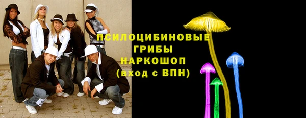 PSILOCYBIN Балахна