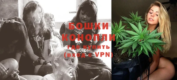 PSILOCYBIN Балахна