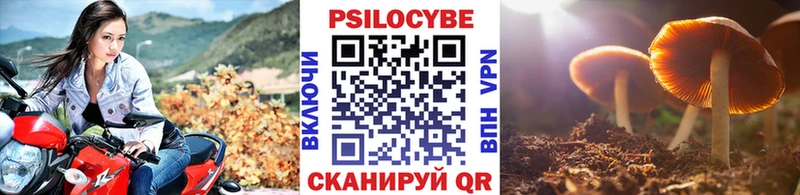 маркетплейс наркотические препараты Суворов Галлюциногенные грибы Cubensis где продают наркотики